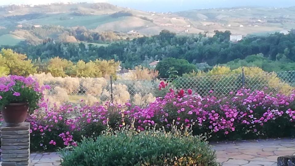 Anthos Casa Vacanze Sant'Omero ภายนอก รูปภาพ